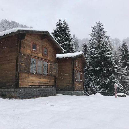 Kardelen Bungalov Evleri̇ Ayder Yaylası Dış mekan fotoğraf