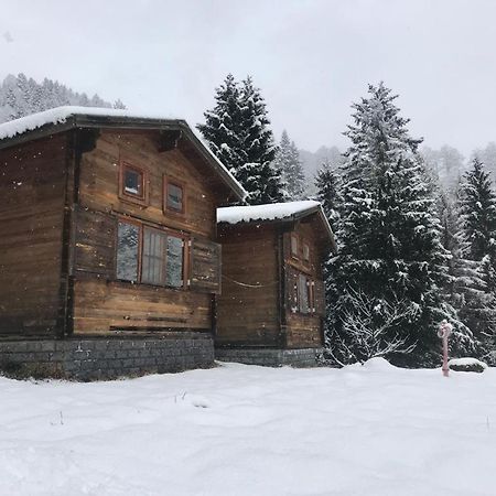 Kardelen Bungalov Evleri̇ Villa Ayder Yaylası Dış mekan fotoğraf