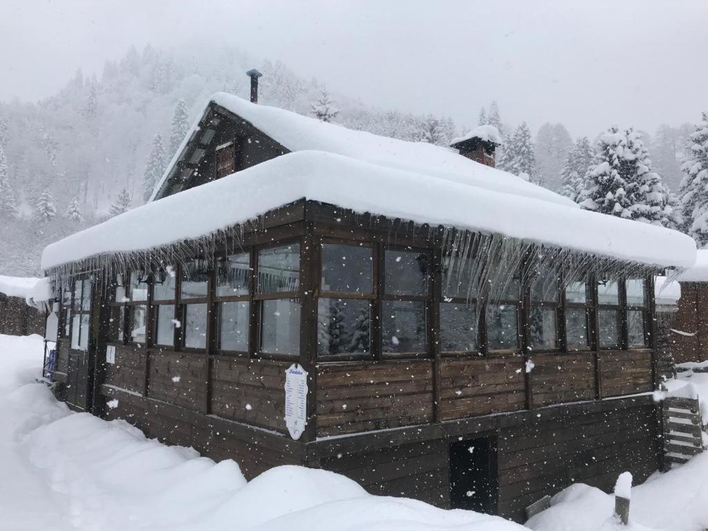 Kardelen Bungalov Evleri̇ Ayder Yaylası Dış mekan fotoğraf