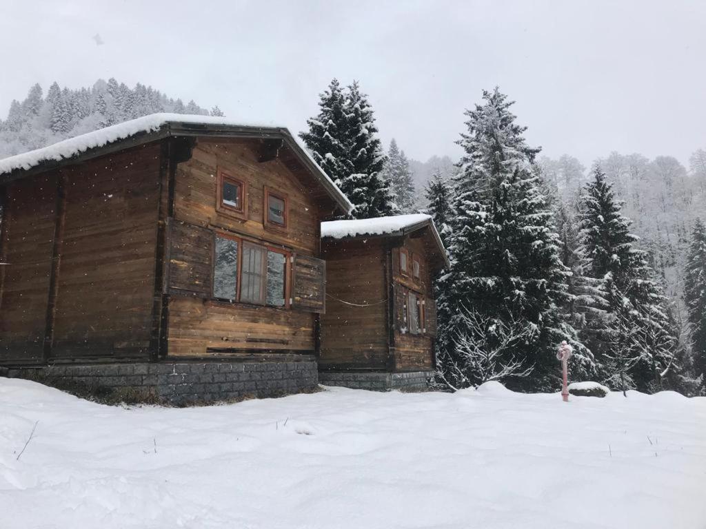 Kardelen Bungalov Evleri̇ Ayder Yaylası Dış mekan fotoğraf
