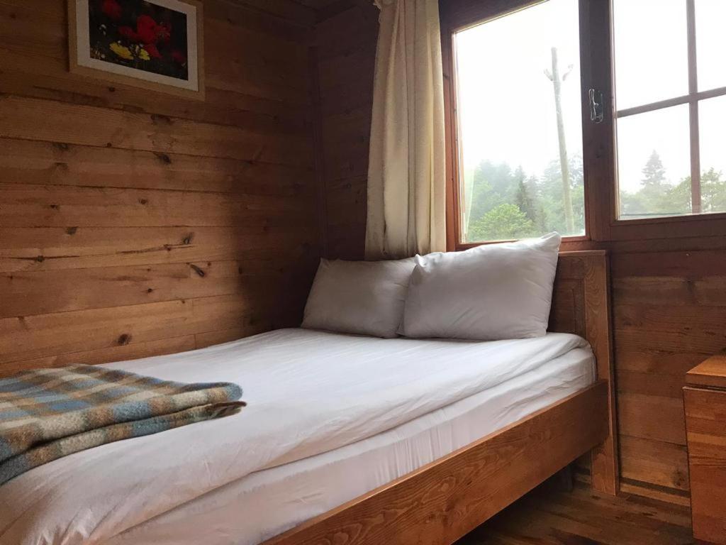 Kardelen Bungalov Evleri̇ Ayder Yaylası Dış mekan fotoğraf