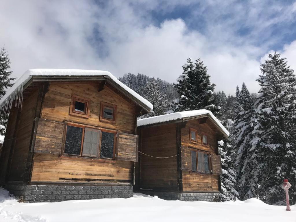 Kardelen Bungalov Evleri̇ Villa Ayder Yaylası Dış mekan fotoğraf