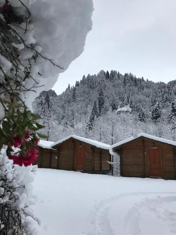 Kardelen Bungalov Evleri̇ Villa Ayder Yaylası Dış mekan fotoğraf