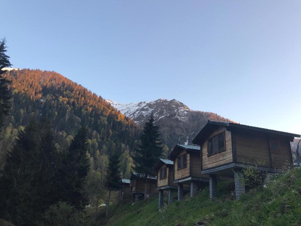 Kardelen Bungalov Evleri̇ Villa Ayder Yaylası Dış mekan fotoğraf