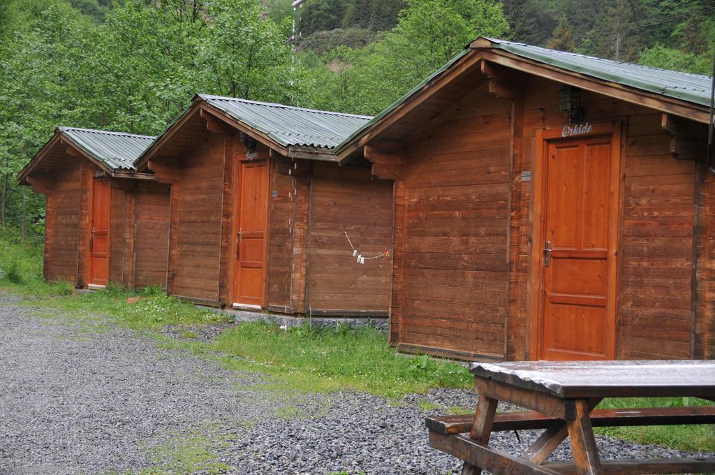 Kardelen Bungalov Evleri̇ Ayder Yaylası Oda fotoğraf